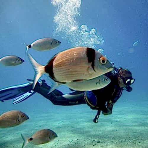 ölüdeniz dalış fiyatı